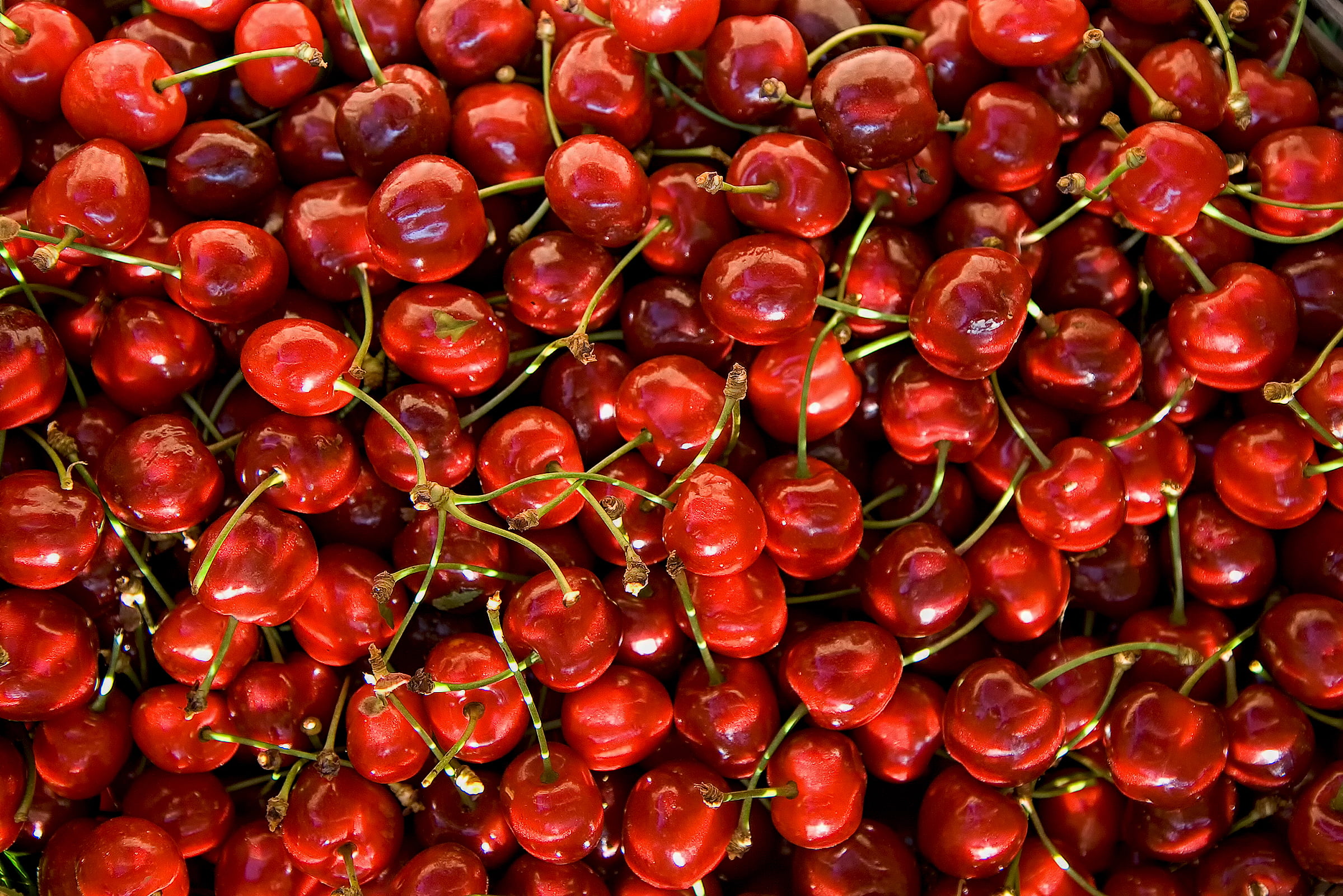 red cherry fruit lot