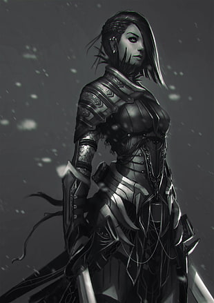 woman with armor wielding two swords character