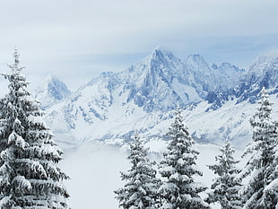 snow mountain, nature, mountains, trees, snow HD wallpaper