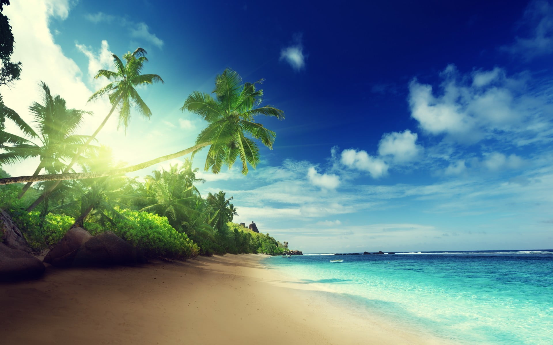 Coconut Trees Landscape Tropical Beach Palm Trees Hd Wallpaper | My XXX ...