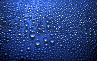 droplets of fog HD wallpaper
