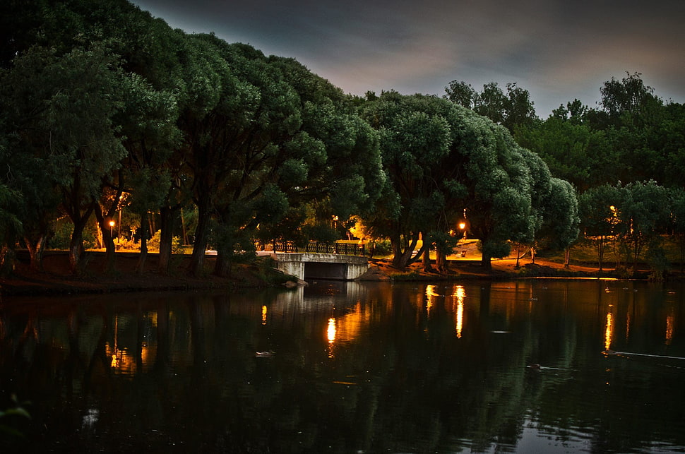 gray concrete bridge between green trees HD wallpaper
