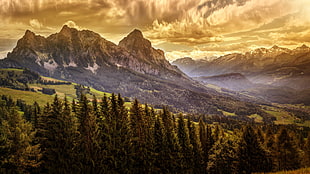 brown rocky mountain, 8k, forest HD wallpaper