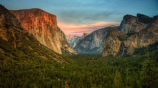 mountain near trees panoramic photography HD wallpaper