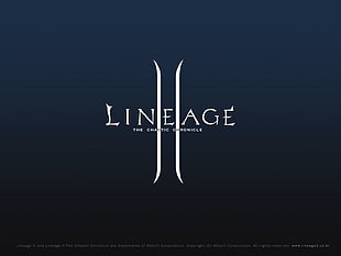 Lineage The Chaotic Chronicle digital wallpaper, Lineage II, RPG, fantasy art HD wallpaper