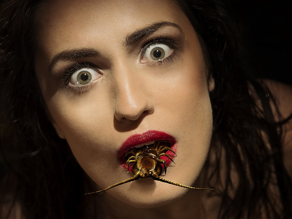 woman with brown spider on her mouth photo HD wallpaper