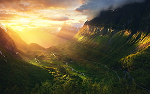 aerial photography of forest during daytime, Norway, Geirangerfjord, sunrise