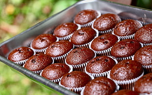 photography of chocolate muffins on tray