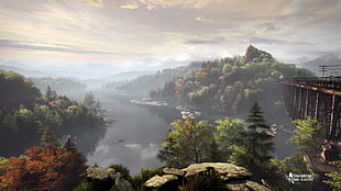 forest photo, The Vanishing of Ethan Carter, video games, landscape HD wallpaper