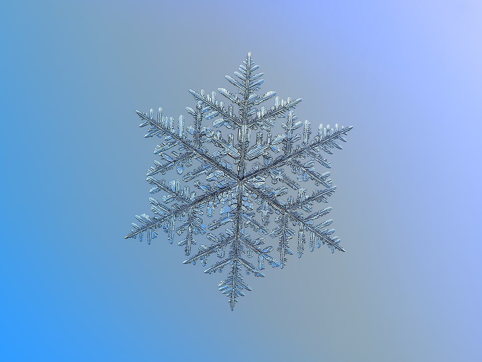 gray snowflake illustration HD wallpaper