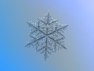 gray snowflake illustration HD wallpaper