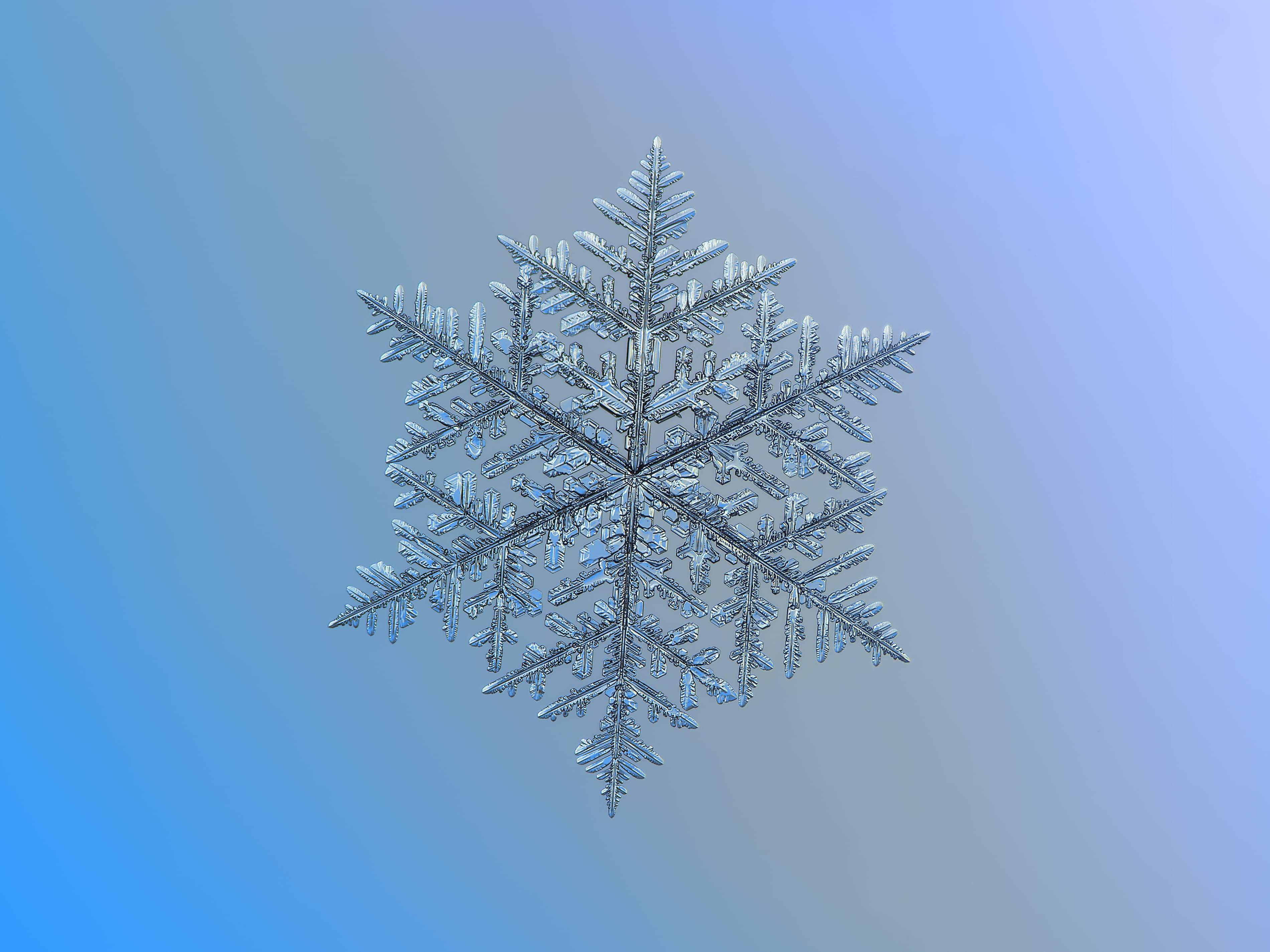 gray snowflake illustration