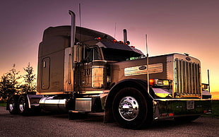 black and gray tractor unit, Peterbilt, trucks, Truck, vehicle