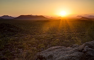 green leafed plants across silhouette of mountains during sunset, ironwood forest national monument