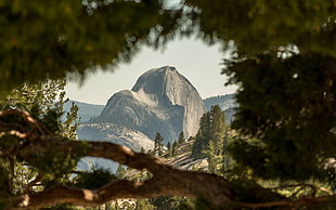 brown mountain, nature, mountains, Yosemite National Park, landscape HD wallpaper