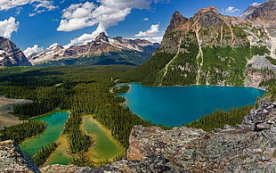 brown rocky mountain, nature, landscape, Lake O'Hara, British Columbia HD wallpaper