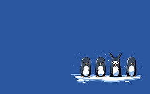 four pigeons illustration, penguins, simple background, humor, artwork