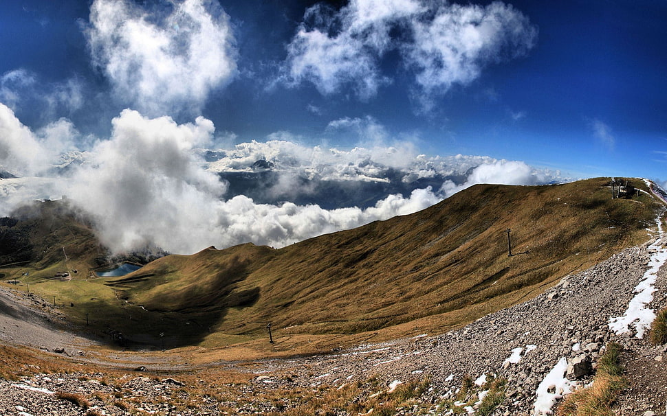 brown and gray field HD wallpaper