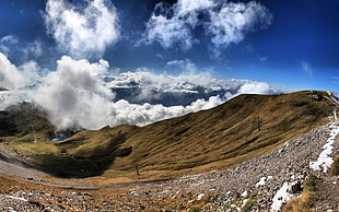 brown and gray field