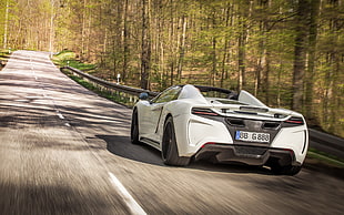 white and black super car passing through the road between trees