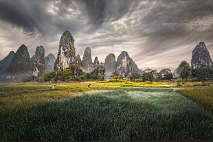 green grass, landscape, nature, China