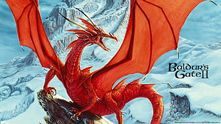 Baldur's Gate II game cover, Baldur's Gate II, fantasy art, dragon