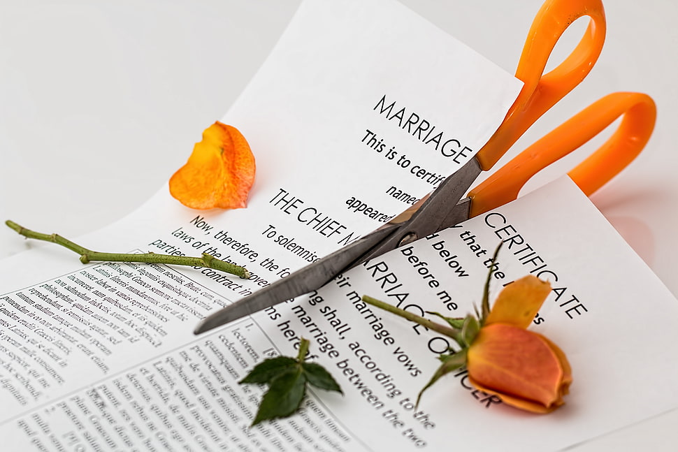 orange and gray scissor cutting paper HD wallpaper