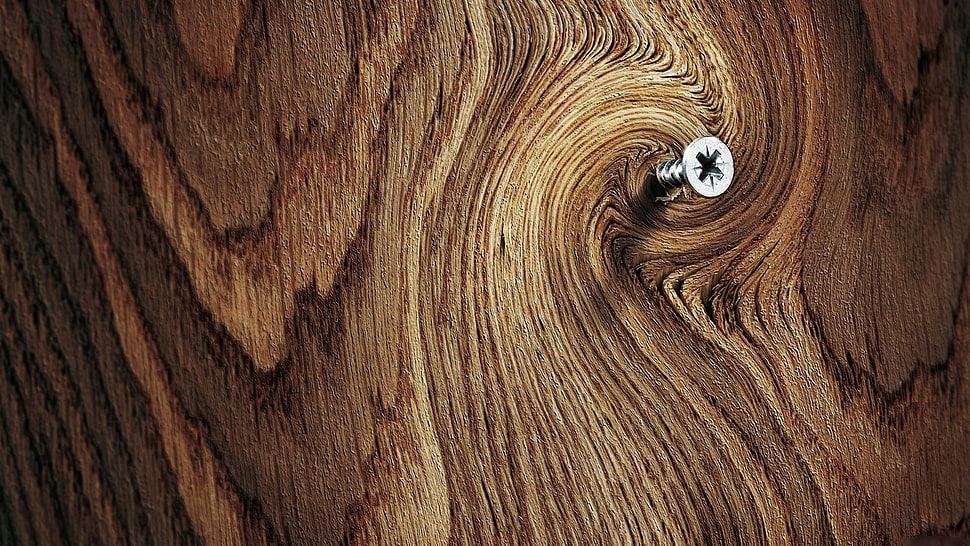 silver screw on wooden surface HD wallpaper