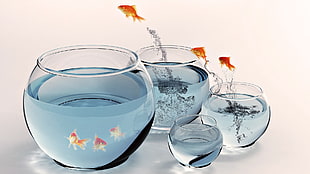 four pieces clear glass fish bowl with gold fish