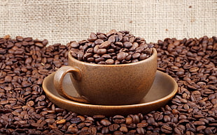 brown ceramic coffee mug HD wallpaper