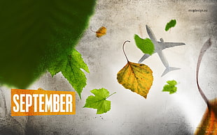 green leaves, leaves, forest, fall, September HD wallpaper