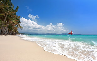 coconut trees, tropical, sailboats, beach, Boracay