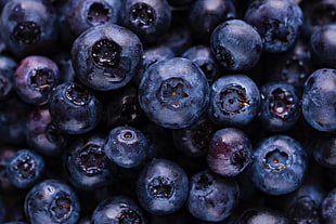 blueberries fruits, Blueberries, Berries, Ripe