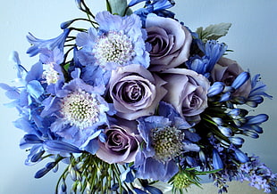 shallow photo of purple bouquet of flowers