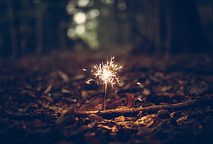 yellow lighted sparkler, Bengal fire, Foliage, Sparks