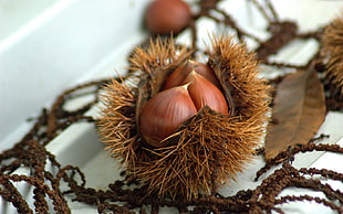 brown fruit on white surface