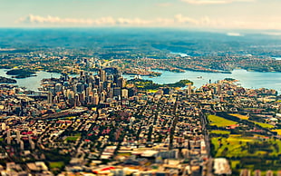 bird's eye view of metropolis during daytime