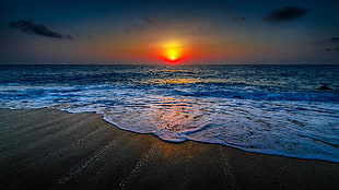 seashore and sun photo, nature, landscape, beach, sunset