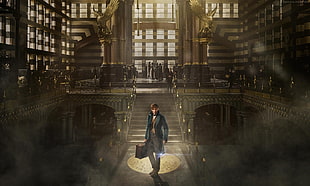 Fantastic Beasts And Where To Find Them poster HD wallpaper