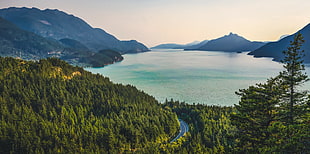bodies of water with mountain view and forest in aerial photography