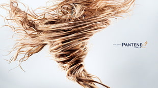 brown hair, artwork, commercial, hair   HD wallpaper
