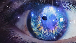 macro photo of person's eye HD wallpaper