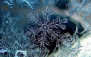 snowflakes
