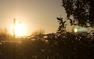 black wirelink fence, sunlight, fence, Sun, yellow HD wallpaper