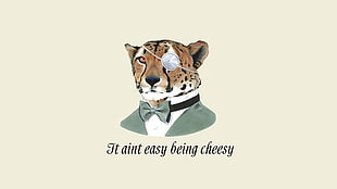 Tiger with suit jacket and text graphic illustration