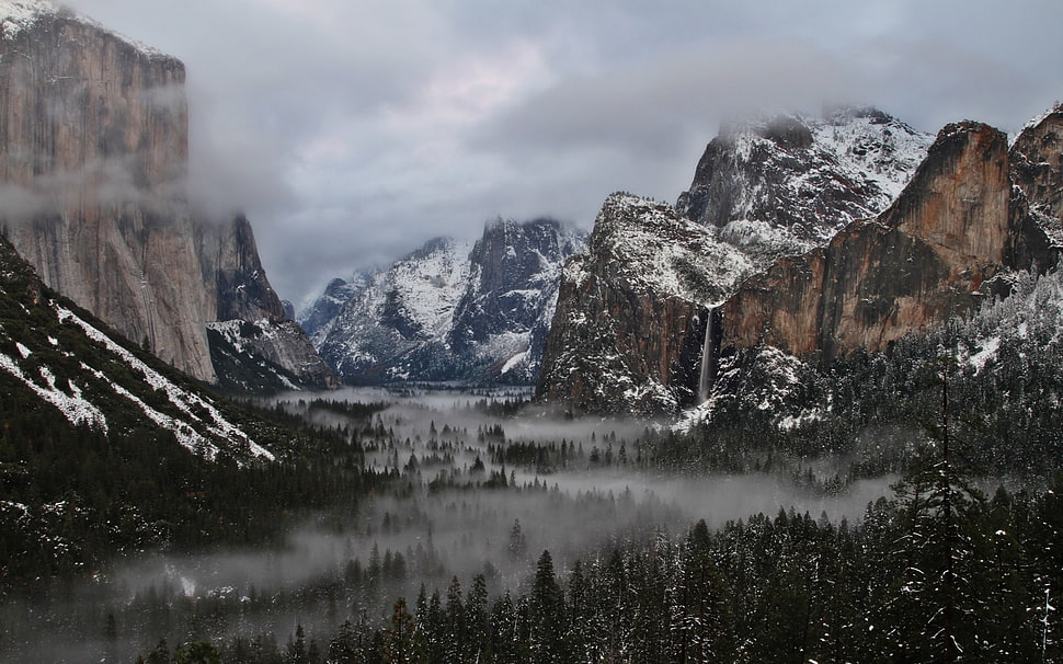 nature, mountains, forest, mist HD wallpaper
