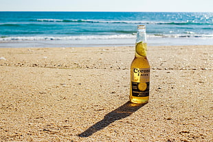 Corona blend bottle, beer, beach, sea, sand HD wallpaper