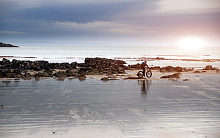 Person riding bicycle beside body of water