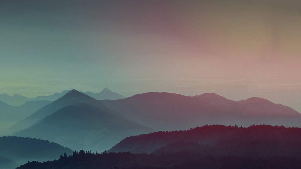 photo of forest, Mountains, Gradient, Foggy HD wallpaper