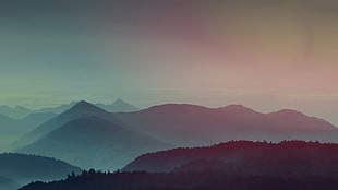 photo of forest, Mountains, Gradient, Foggy